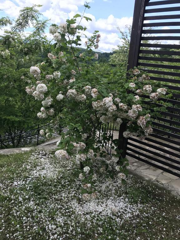Cabana Breaza - Skyview Cottage Dış mekan fotoğraf