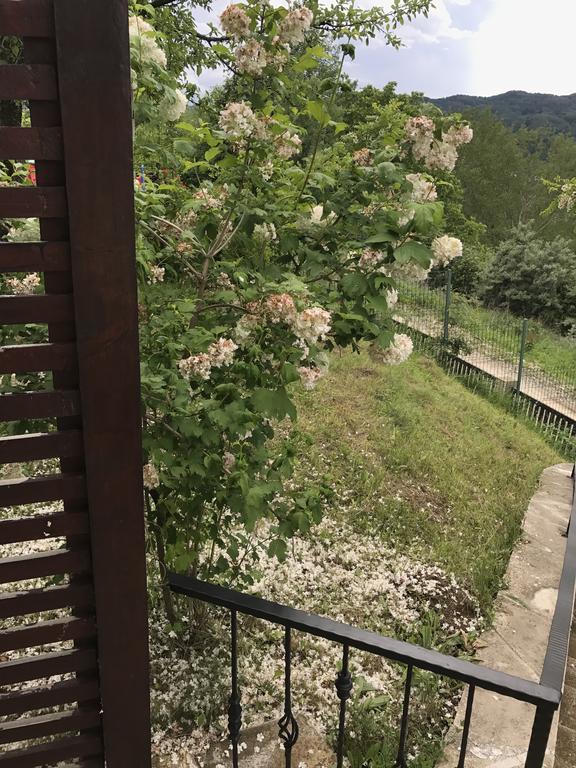 Cabana Breaza - Skyview Cottage Dış mekan fotoğraf